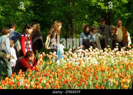 Pralormo, Piemont, Italien. -04-25-2009-Messer Tulipano Gartenbau Ausstellung mit Frühling Tulpen blühen in Pralormo Schloss. Stockfoto