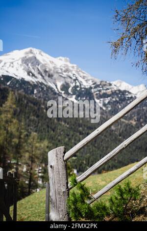 Weite Sicht auf schneebedeckte Berge, Bäume, ein Holztor und Zaun. Wald und Felder sind grün, der Himmel blau. Zeigt die Schönheit der österreichischen alpen. Stockfoto