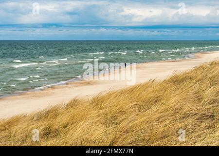 Schöner Sandstrand mit Schilf und trockenem Gras zwischen den Dünen, Reisen im Sommer und Urlaub Konzept, Fußabdrücke auf dem Sand Stockfoto