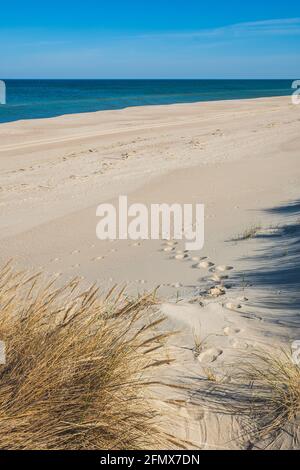 Schöner Sandstrand mit Schilf und trockenem Gras zwischen den Dünen, Reisen im Sommer und Urlaub Konzept, Fußabdrücke auf dem Sand, vertikal Stockfoto