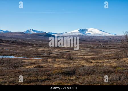 Der Berg Snøhetta im Spätherbst nach einem nächtlichen Schneefall. Hjerkinn, Dovrefjell, Dovre-Sunndalsfjella-Nationalpark, Innlandet, Norwegen Stockfoto