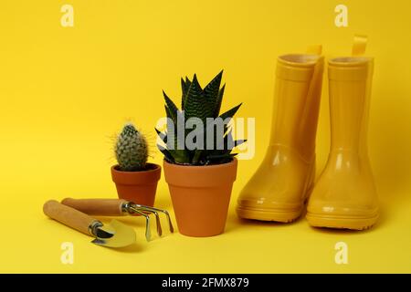 Konzept der Gartenarbeit auf gelbem Hintergrund, Nahaufnahme Stockfoto