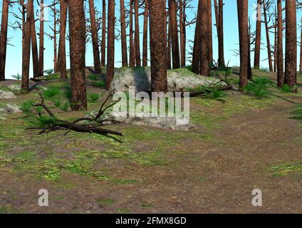 3D-Rendering einer Frühlingswaldlandschaft Stockfoto