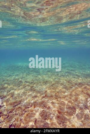 Ein Blick auf eine Unterwasserlandschaft. Der Meeresboden spiegelt sich in der Meeresoberfläche, während der Horizont im blauen Meer verschwindet. Stockfoto