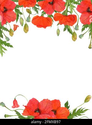 Aquarell-Blumenrand, rote Wiesenmohn mit grünen Blättern und Knospen. Stockfoto