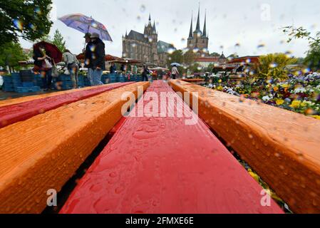 Erfurt, Deutschland. Mai 2021. Besucher des Wochenmarktes wandern bei Regenwetter über den Domplatz mit Blick auf die Stadt mit dem Mariendom und der Severi-Kirche. Sowohl für den Urlaub am 13. Mai als auch darüber hinaus wird in Deutschland wechselhaftes und recht kühles Wetter erwartet. Quelle: Martin Schutt/dpa-Zentralbild/dpa/Alamy Live News Stockfoto