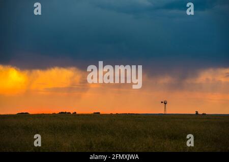 Stürmischer Himmel in der Landschaft von Pampas, Provinz La Pampa, Patagonien, Argentinien. Stockfoto