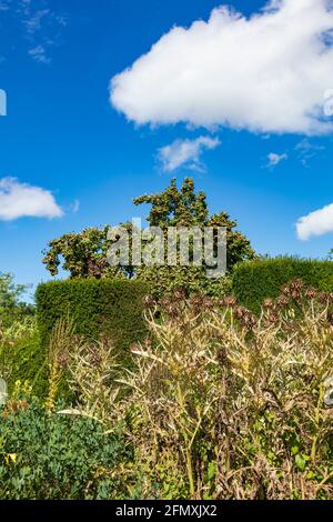 Blick auf das Great Dixter House und die Gärten von Northiam im Spätsommer, East Sussex, Großbritannien, Stockfoto