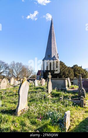 Frühlingsblumen wachsen auf dem Kirchhof von St Mary, St Peter & St Paul Kirche in Westbury auf Severn, Gloucestershire Großbritannien Stockfoto