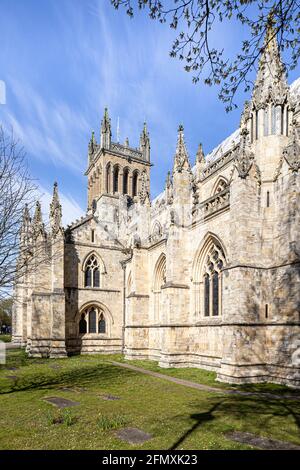 Selby Abbey, Selby, North Yorkshire, England, Großbritannien Stockfoto