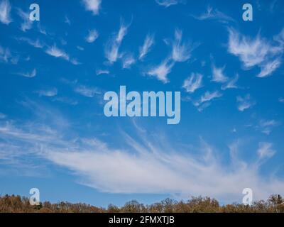 Cirrus Wolken bewegen sich langsam in Formationen am blauen Himmel an sonnigen Tagen Stockfoto