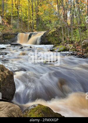 Moosbedeckte Felsbrocken und Wälder, die mit Herbstfarben getönt sind, sind seidig stromschnellen unter einem Wasserfall Stockfoto