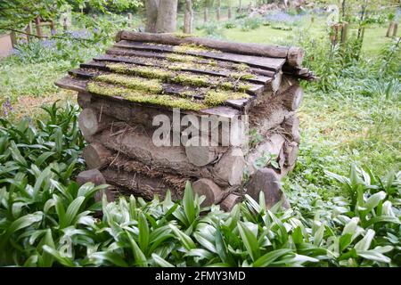 Bug Hotel oder Tierheim, um trockene und warme Bedingungen für die Nistung und Winterschlaf von Insekten, Wirbellosen, in einem Teil eines natürlichen Waldes, Großbritannien. Stockfoto