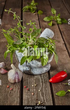 Aromatische Kräuter im Mörser mit Pfeffer und Knoblauch auf Holz Tabelle Stockfoto
