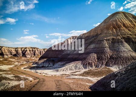 Die Blue Mesa Trail im Petrified Forest National Park, Arizona Stockfoto