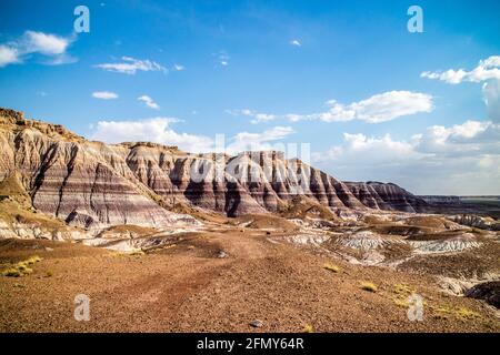 Die Blue Mesa Trail im Petrified Forest National Park, Arizona Stockfoto