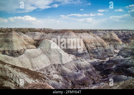 Die Blue Mesa Trail im Petrified Forest National Park, Arizona Stockfoto