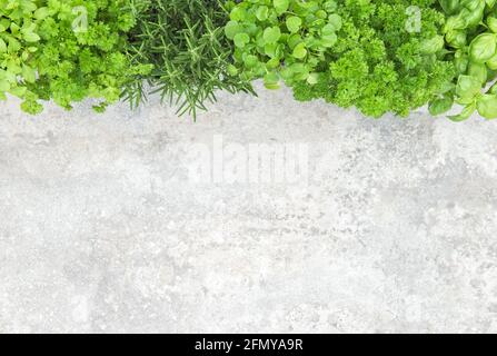 Frische Kräuter auf Steintisch Hintergrund. Petersilie, Basilikum, Rosmarin, Minze Stockfoto