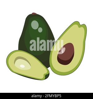 Avocado, ganze und halb-gestrichenen Avocado. vektor isoliert auf weißem Hintergrund. Stock Vektor