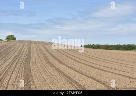 Landwirtschaftliche Feld gepflügt im Frühjahr. Ackerland bereit für die nächste Anbausaison. Stockfoto