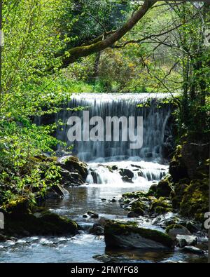 Langzeitbelichtung eines Flusses, in Cadamstowm irland. Stockfoto