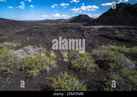 Spritzerkegel, Krater des Moon National Monument, Idaho Stockfoto