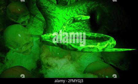 3D-Illustration von Menschen Schädel und Schlangen vor Angezeigt Stockfoto