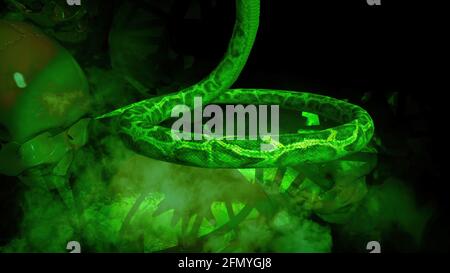 3D-Illustration von Menschen Schädel und Schlangen vor Angezeigt Stockfoto