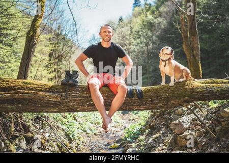 Lächelnder Mann mittleren Alters, der auf dem umgestürzten Baum sitzt Der Bergwaldbach mit seinem Beagle-Hund während er Warten auf Wäschetrocknung und Tre Stockfoto