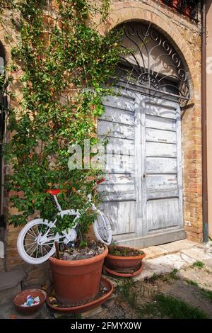 Typische Vintage Holztür auf einem Hintergrund von Blumen in der Toskana, Italien Stockfoto