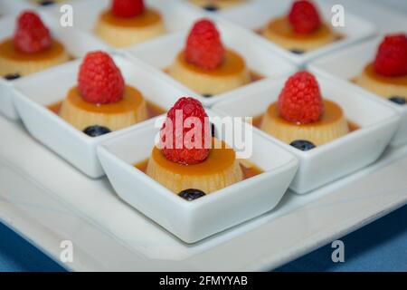 Mini-Pudding-Desserts mit Himbeeren auf einem Serviertablett, Naples, Florida, USA Stockfoto