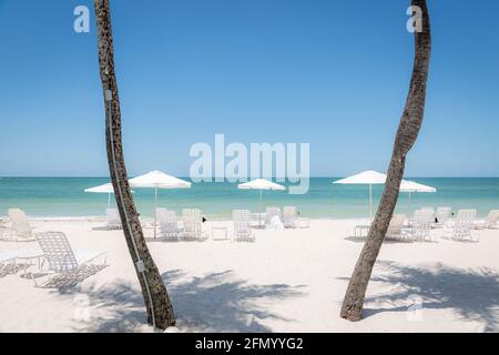 Liegestühle und Sonnenschirme mit Blick auf den Golf von Mexiko in Naples, Florida, USA Stockfoto