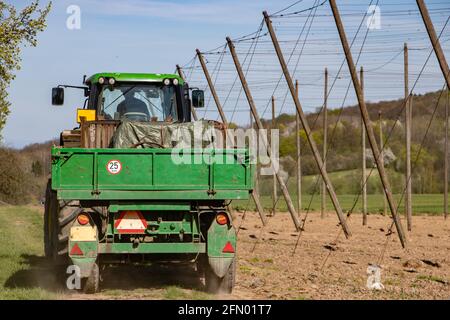 Während der Frühjahrsarbeiten in Tschechien zieht ein Traktor einen Anhänger auf einem Hopfengarten Stockfoto