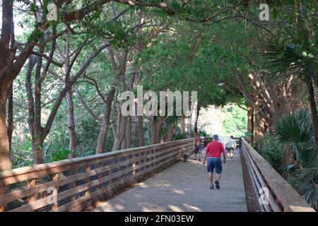 Menschen gehen auf einer erhöhten Promenade in Wakodahatchee Wetlands, Delray Beach, Florida. Stockfoto