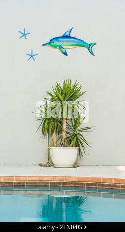 Delfin- und Seesterne-Kunst an der grauen Wand über der Topfpalme Und Wasserspiegelung Stockfoto