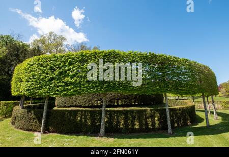 The Lynn Garden at Ascott House, Wing, Leighton Buzzard UK. Entworfen von Jacques und Peter Wirtz. Stockfoto