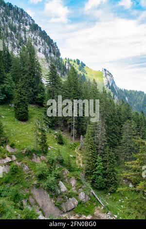 Blick auf schöne Landschaft in den Alpen mit frischen grünen Wiesen und Waldbäumen am Berg sonnigen Tag mit blauem Himmel und Wolken im Frühling. Stockfoto