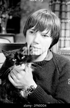 Frühling und Portwein (1969) Datum: 1969 Stockfoto