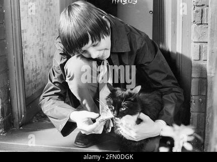 Frühling und Portwein (1969) Datum: 1969 Stockfoto