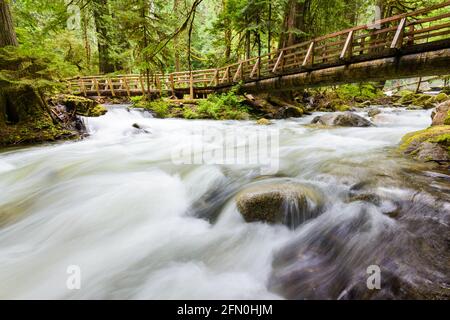 Deception Creek rast unter eine hölzerne Fußgängerbrücke mit Geländern Das Deception Fall-Gebiet im Mt Baker Snoqualmie National Wald Stockfoto