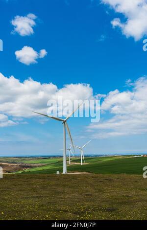 Windturbinen in Windparks auf Cornwall Fields in England In Europa Stockfoto