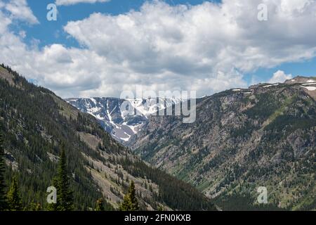 Ein Blick auf die Natur im Custer National Forest, Montana Stockfoto