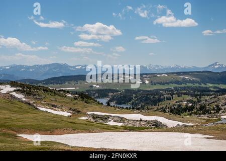 Ein Blick auf die Natur im Custer National Forest, Montana Stockfoto