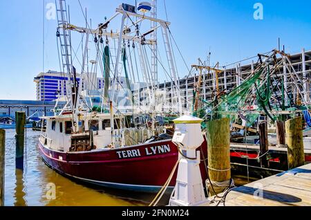 Garnelenboote werden am Biloxi Small Craft Harbour am 8. Mai 2021 in Biloxi, Mississippi, angedockt. Stockfoto