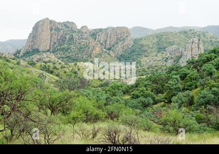 Landschaft entlang der Rub Road Stockfoto