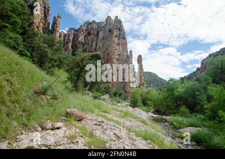 Sycamore Canyon im Süden Arizonas Stockfoto