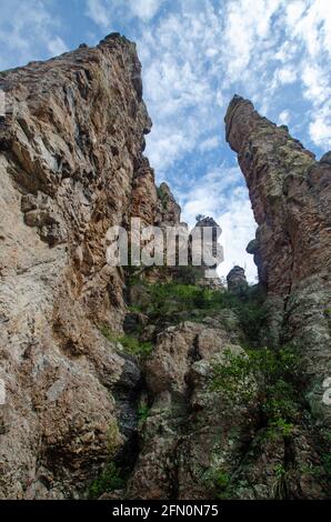 Sycamore Canyon im Süden Arizonas Stockfoto