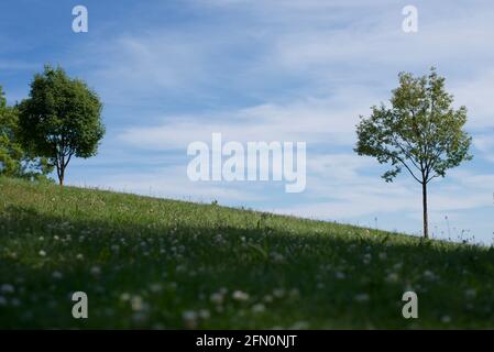 Sintiendo la paz interior en la naturaleza...hermoso día . Stockfoto