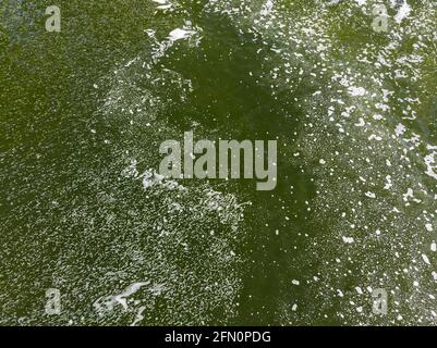 Weißer Schaum auf grüner schmutziger Wasseroberfläche. Umweltverschmutzung. Luftdrohne-Foto schaut nach unten Stockfoto