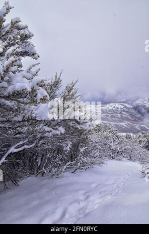Blick auf den Little Black Mountain Peak Wanderweg von Salt Lake City, im Winter über den Bonneville Shoreline Trail, Wasatch Front Rocky Mountains, Ut Stockfoto